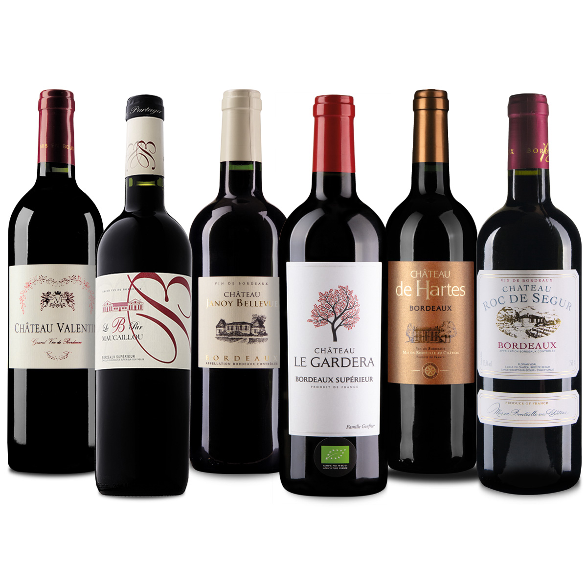 6er Probierpaket Einsteigerbordeaux